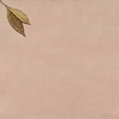 Pink Double width Linen fabric. Softened 280 cm wide. Vilgot Dusty Rose by Ada & Ina