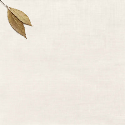 Pure White Double width Linen fabric. Softened 280 cm wide. Vilgot Pure White by Ada & Ina
