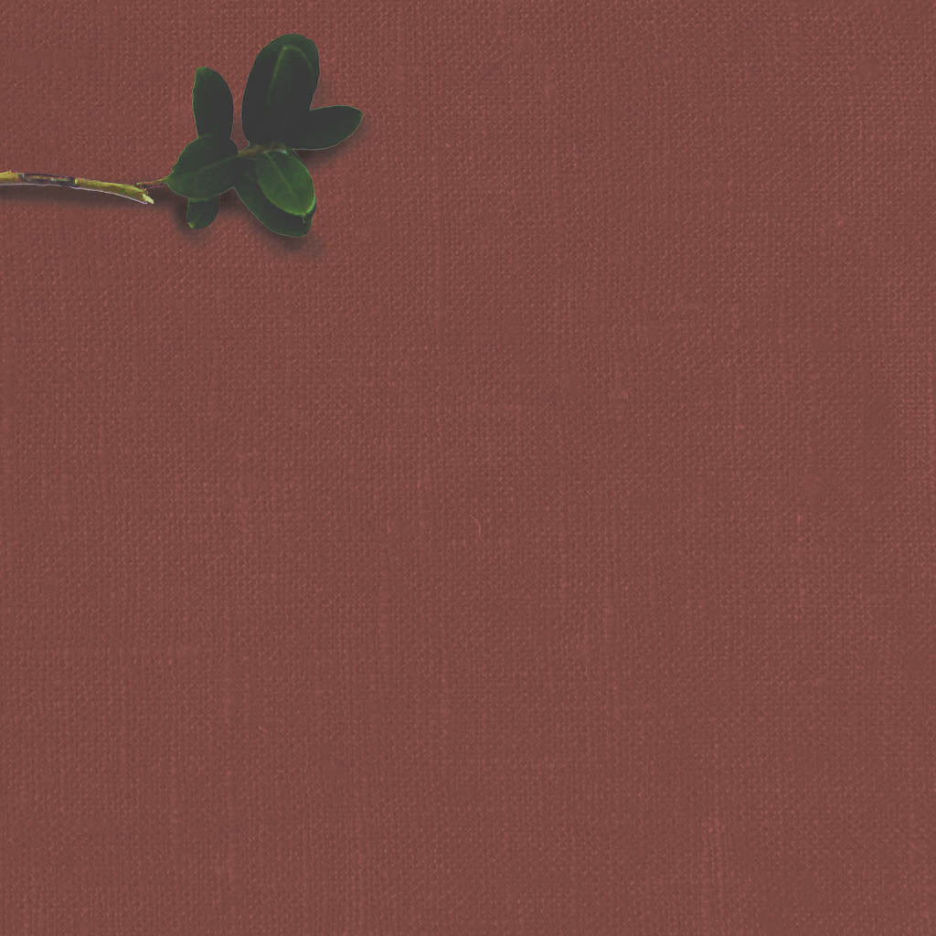 Linia Saffron Red- stone washed medium weight 100% linen fabric for lined or unlined curtains. Soft Finish.